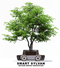 Logo von SmartSylvan