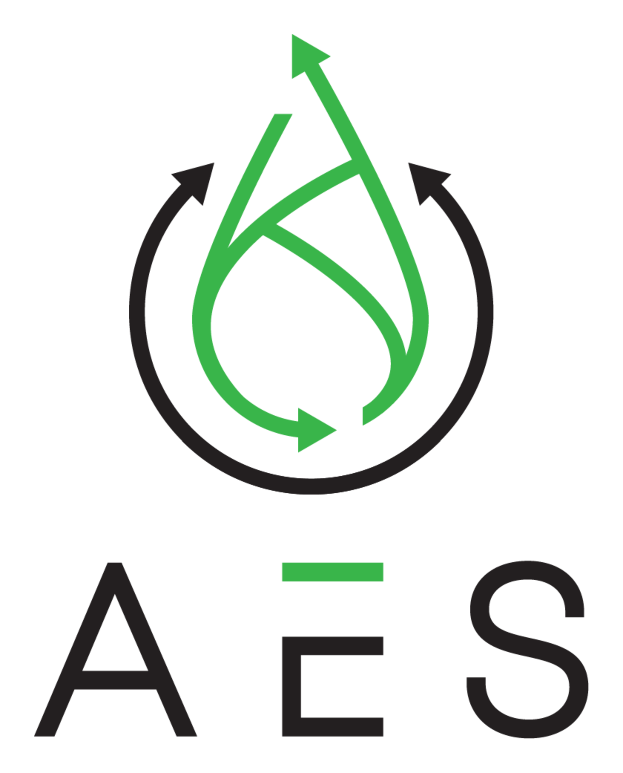 Logo von AES Autonome Energiesysteme
