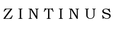 Logo von ZINTINUS