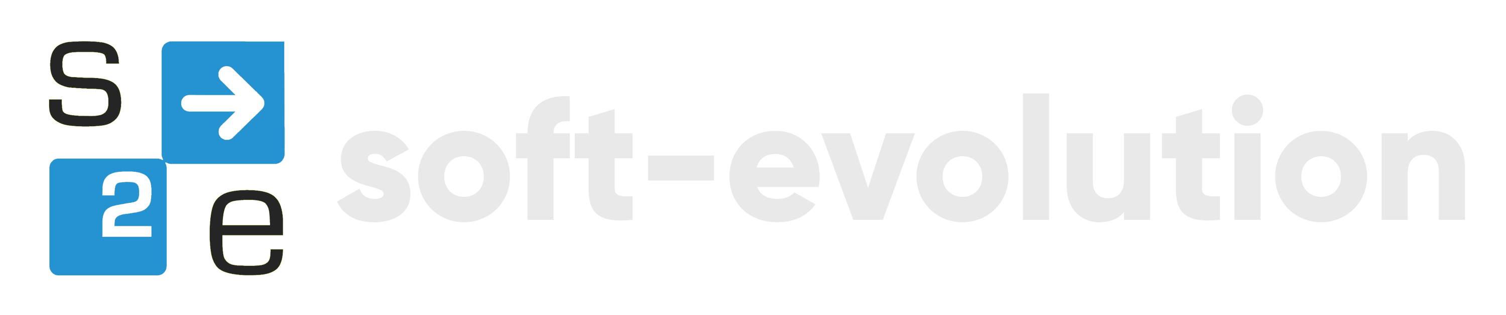 Logo von soft-evolution
