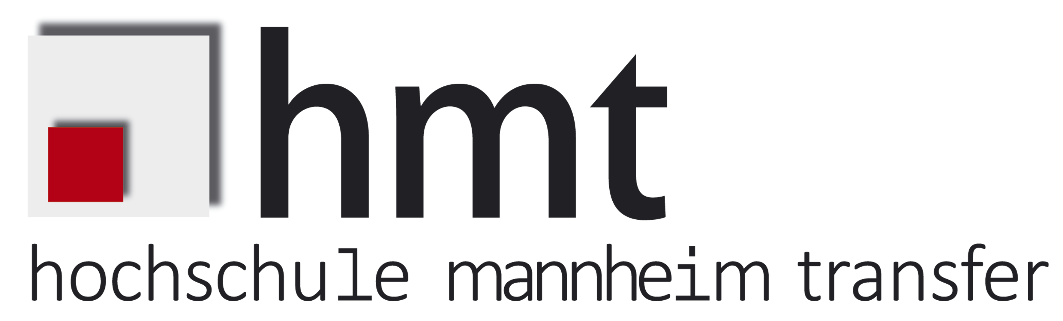 Logo von HMT MRN