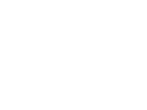 Logo von Flybionic