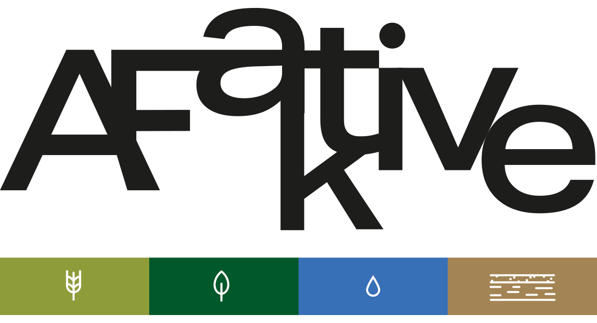 Logo von AFaktive