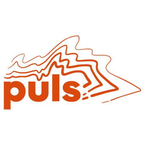 Logo von PULS Hildesheim