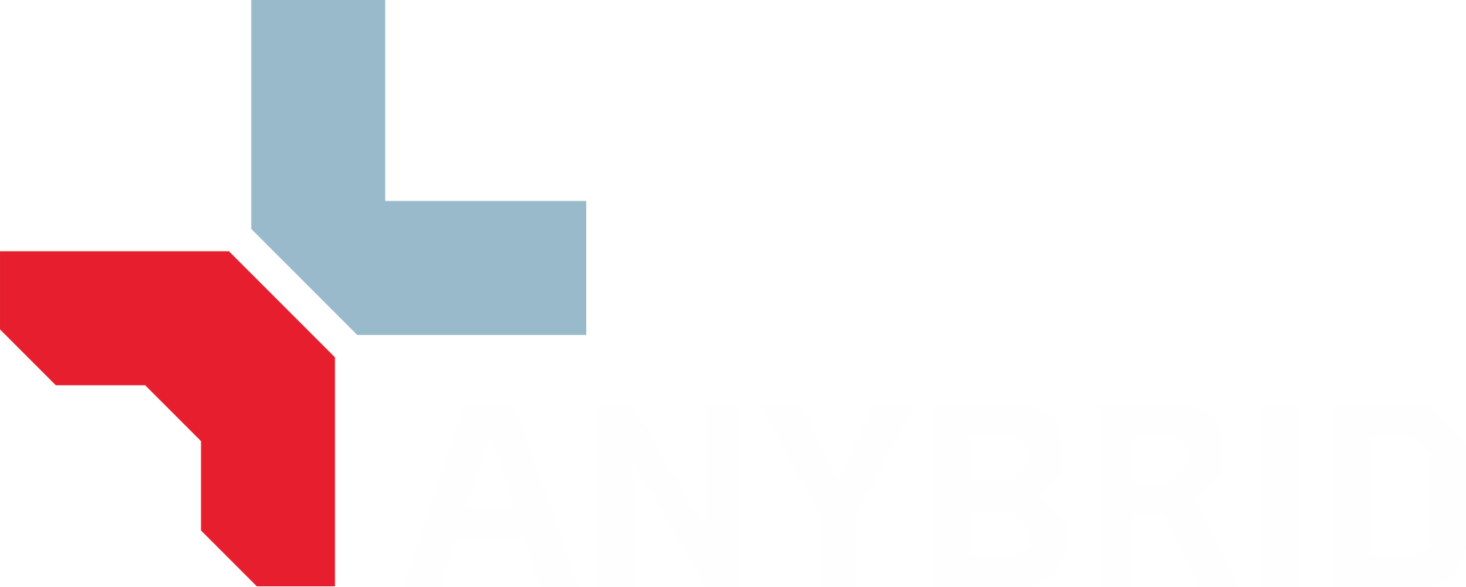 Logo von ANYBRID