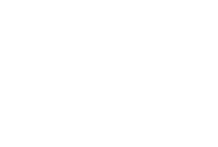 Logo von Pioneers Club