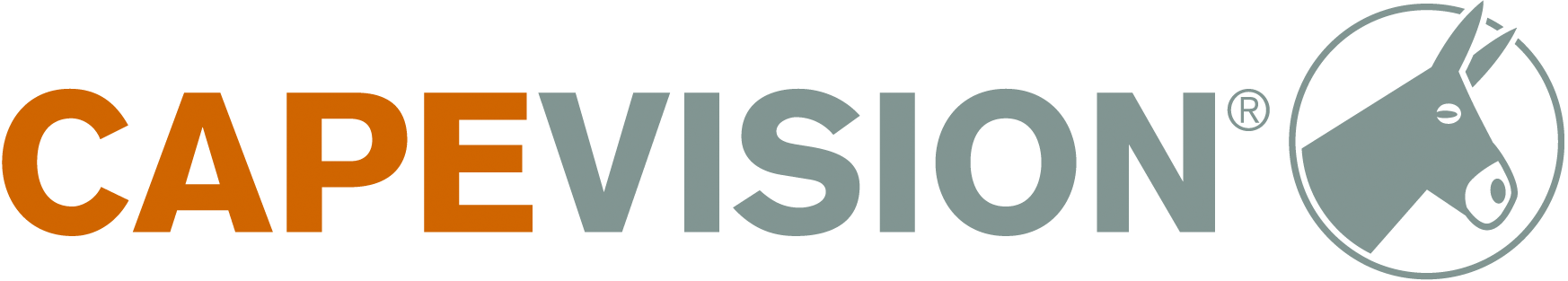 Logo von CapeVision