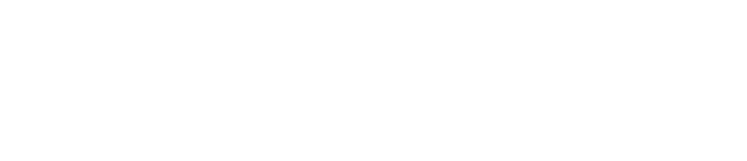 Logo von ScaliRo