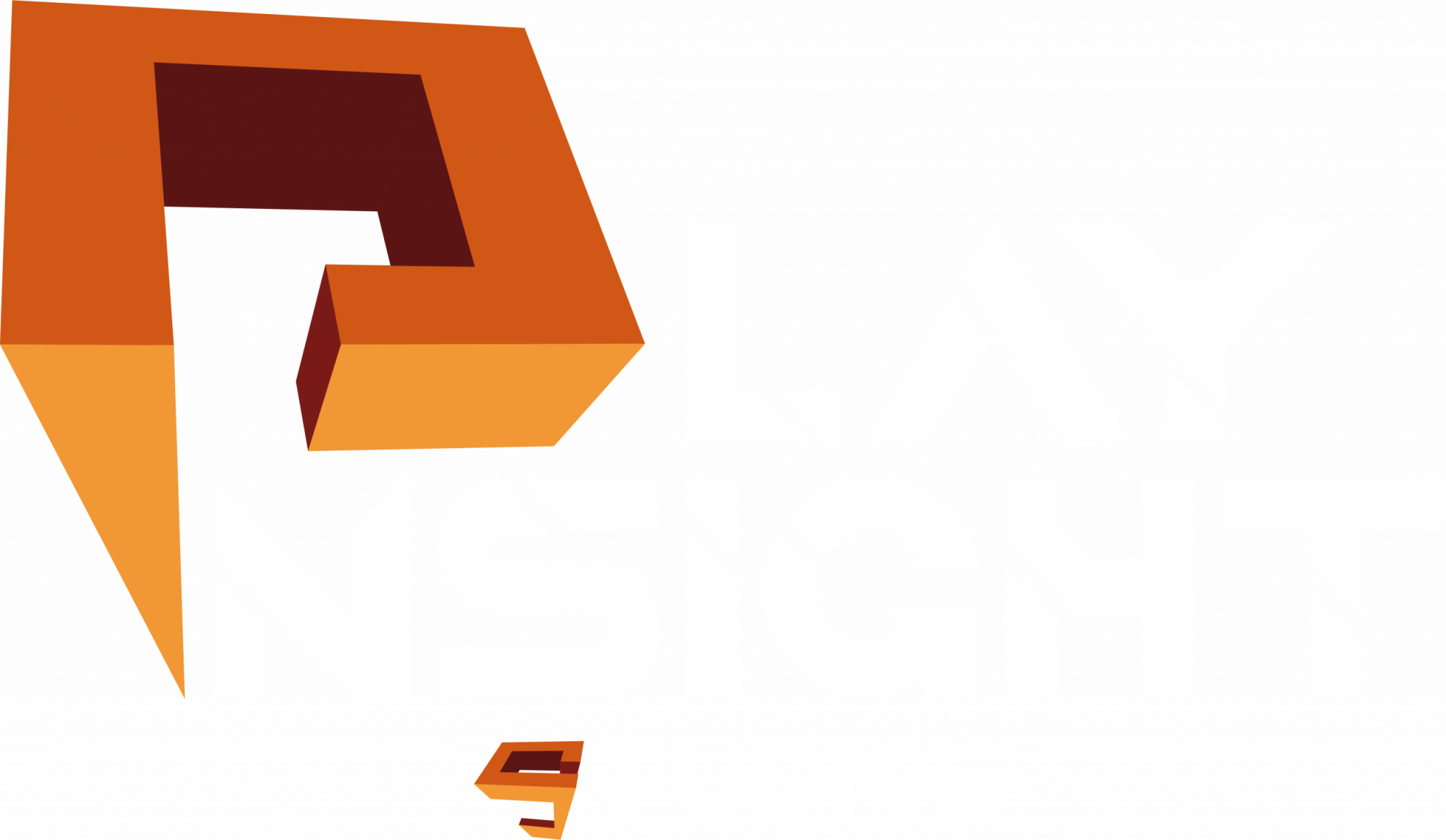 Logo von PlayInsight Studios