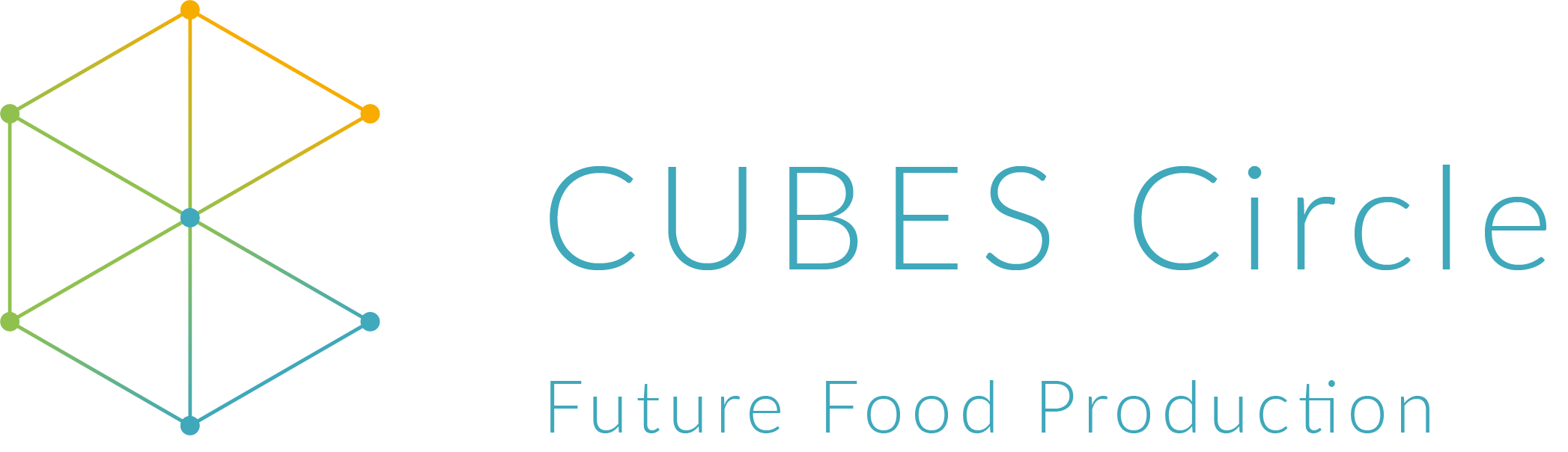 Logo von CUBES Circle