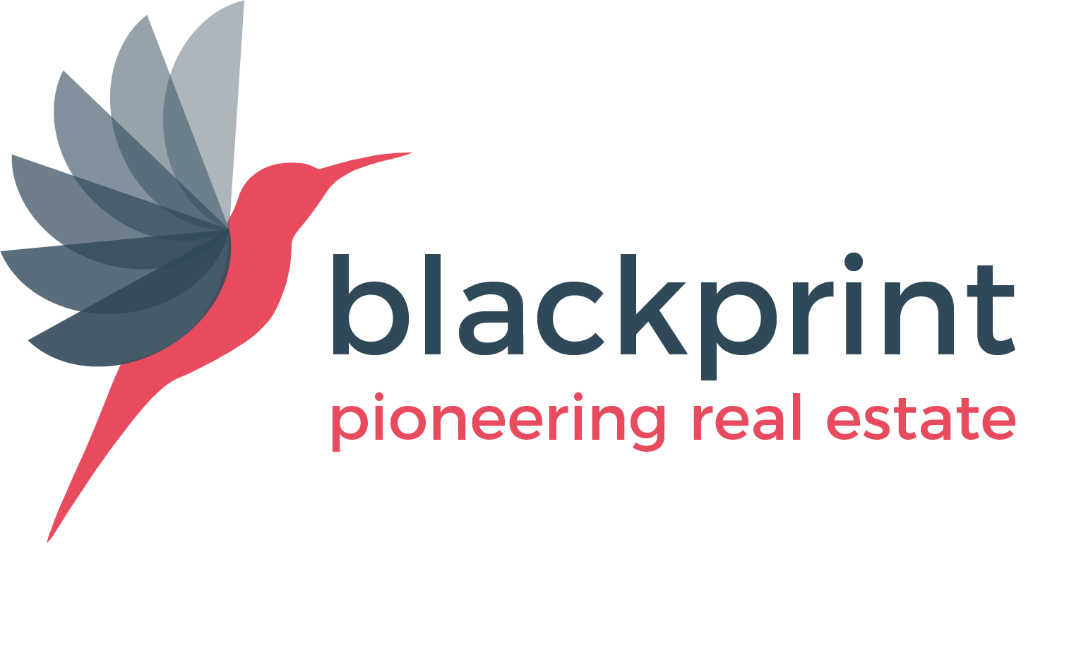 Logo von blackprint