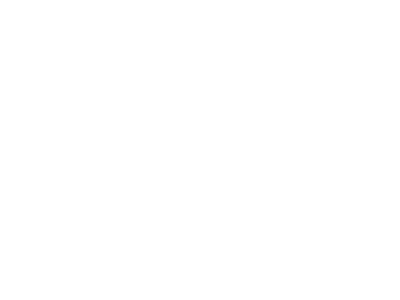 Logo von DKI - Die KI Beratung