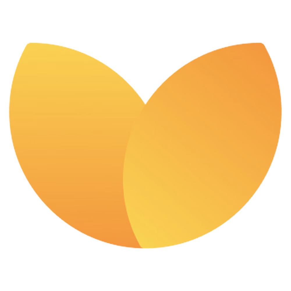 Logo von Soulfi