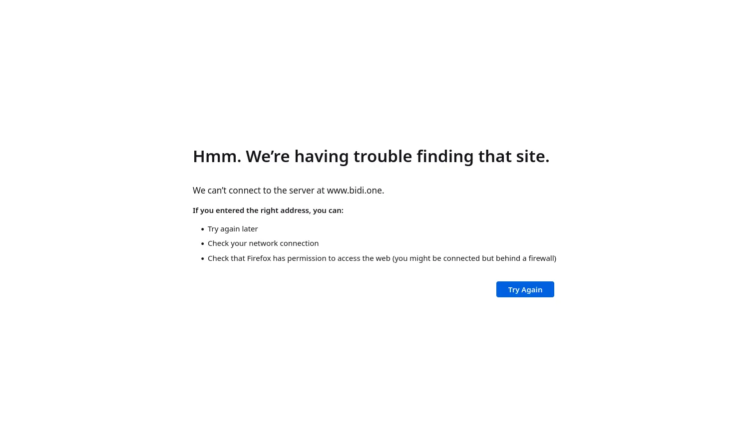 Website-Screenshot von bidi