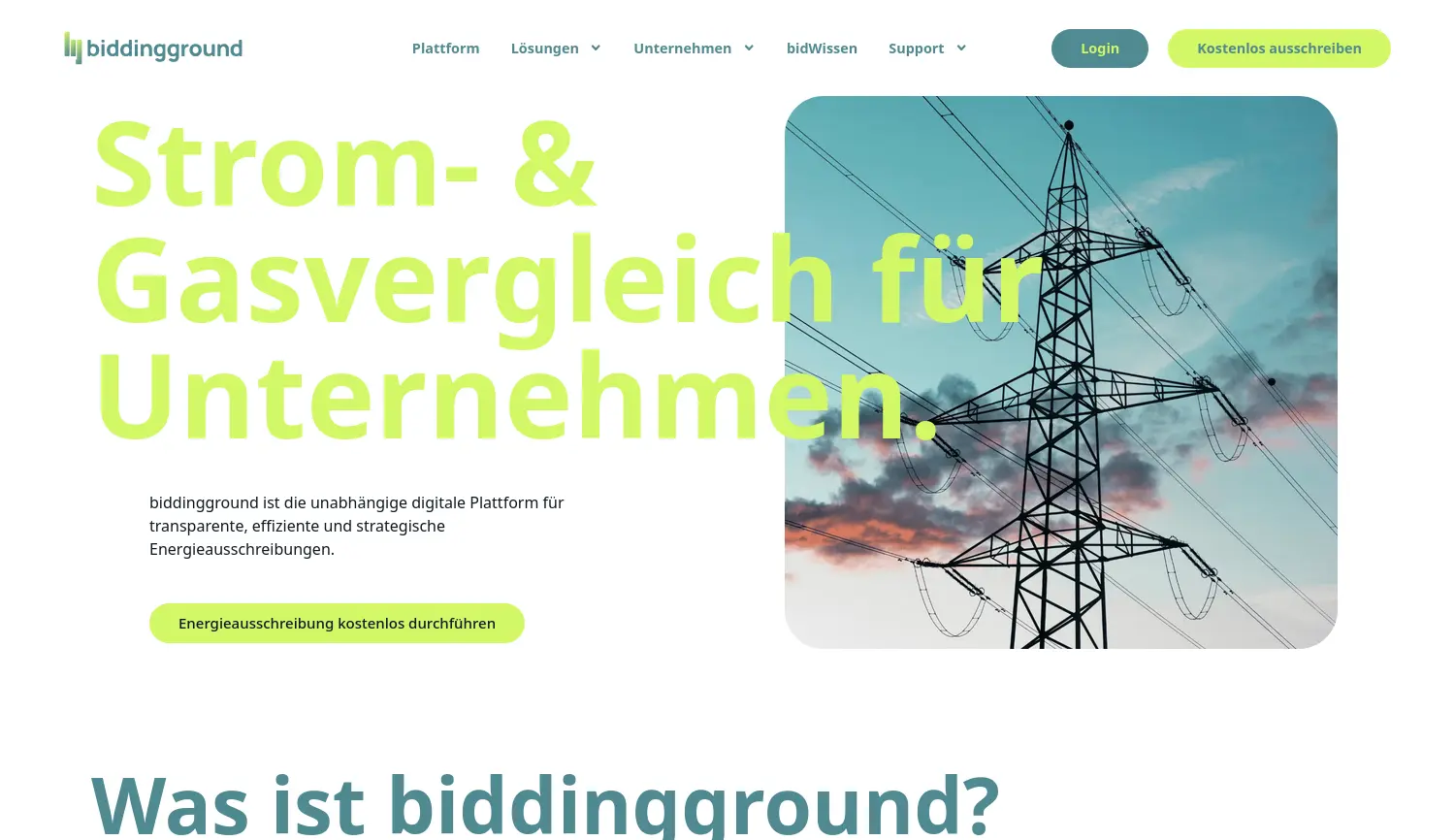 Website-Screenshot von biddingground