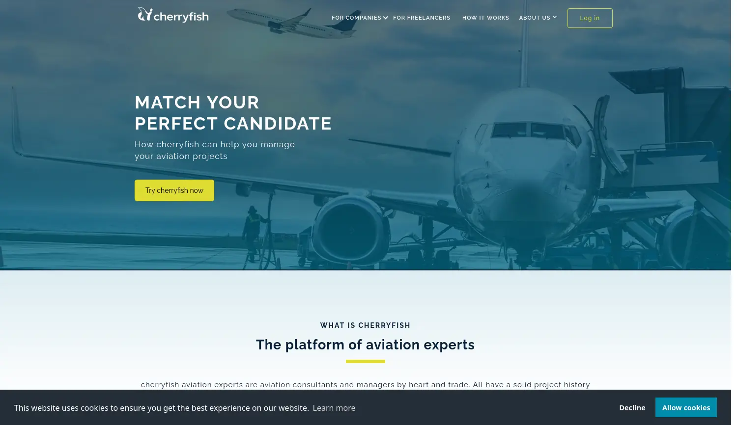 Website-Screenshot von cherryfish