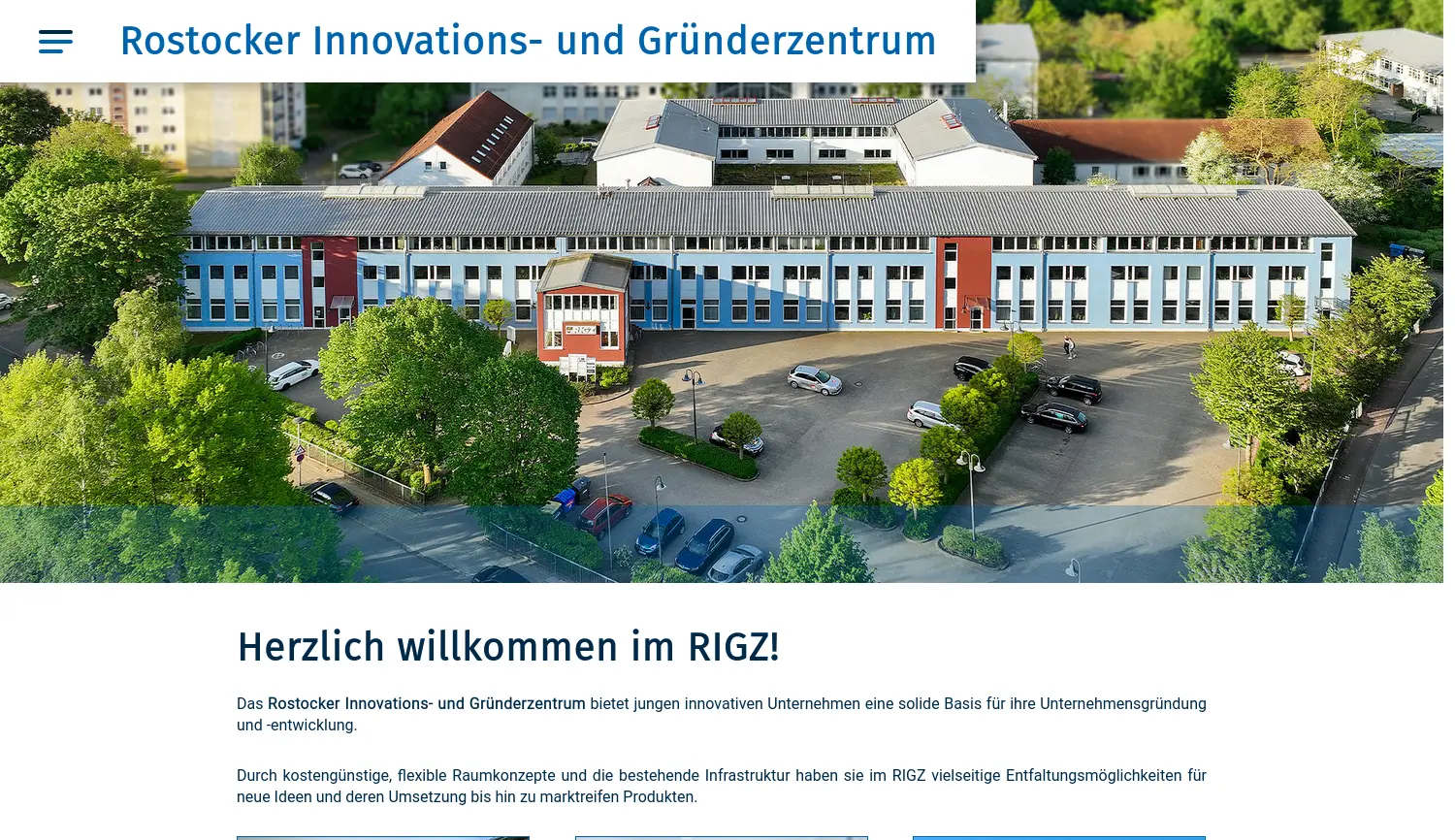 Website-Screenshot von RIGZ