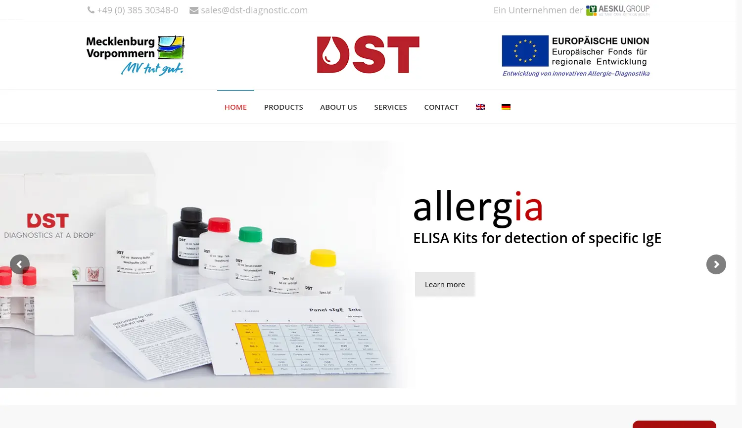 Website-Screenshot von DST