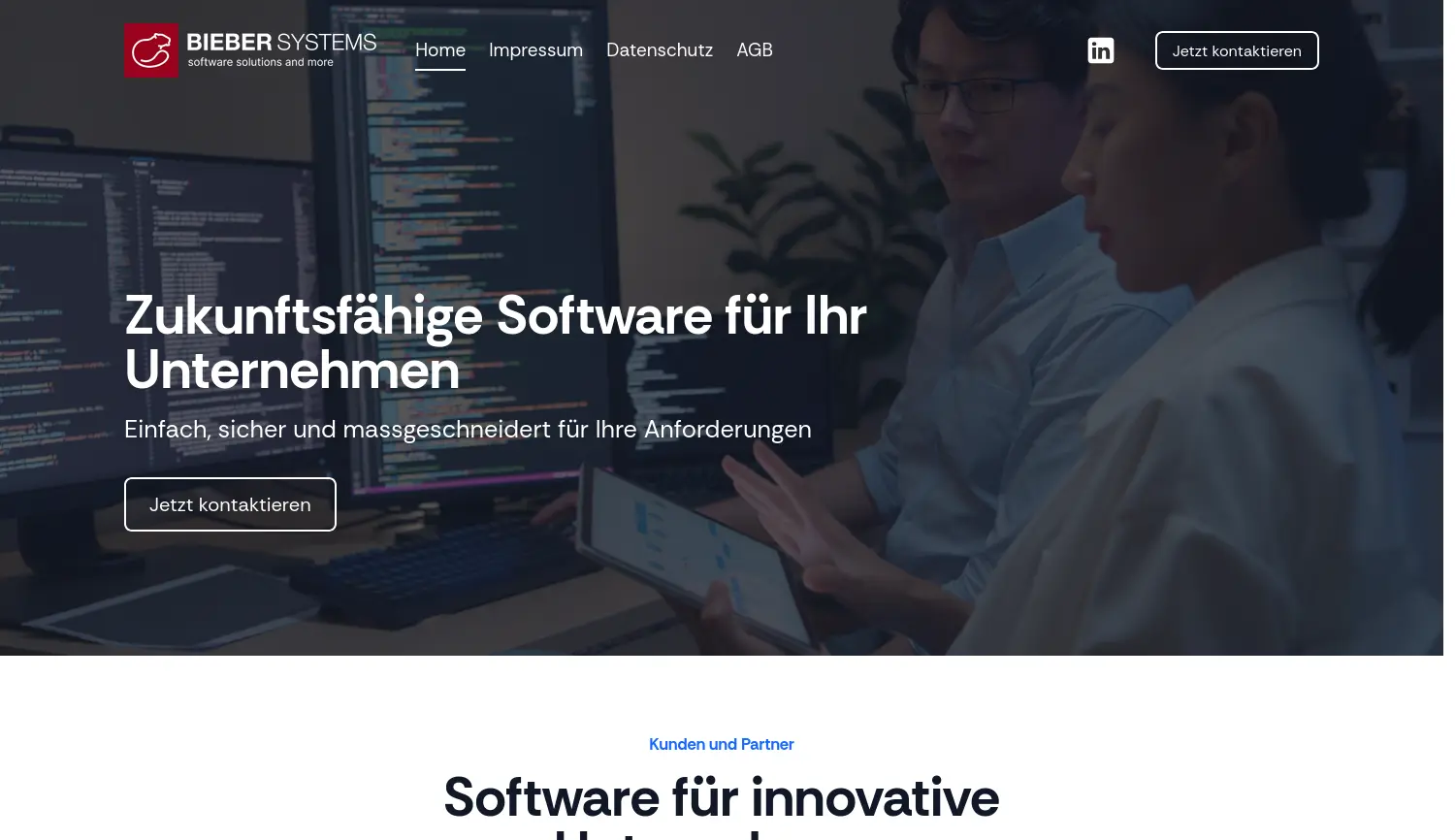 Website-Screenshot von Bieber-Systems