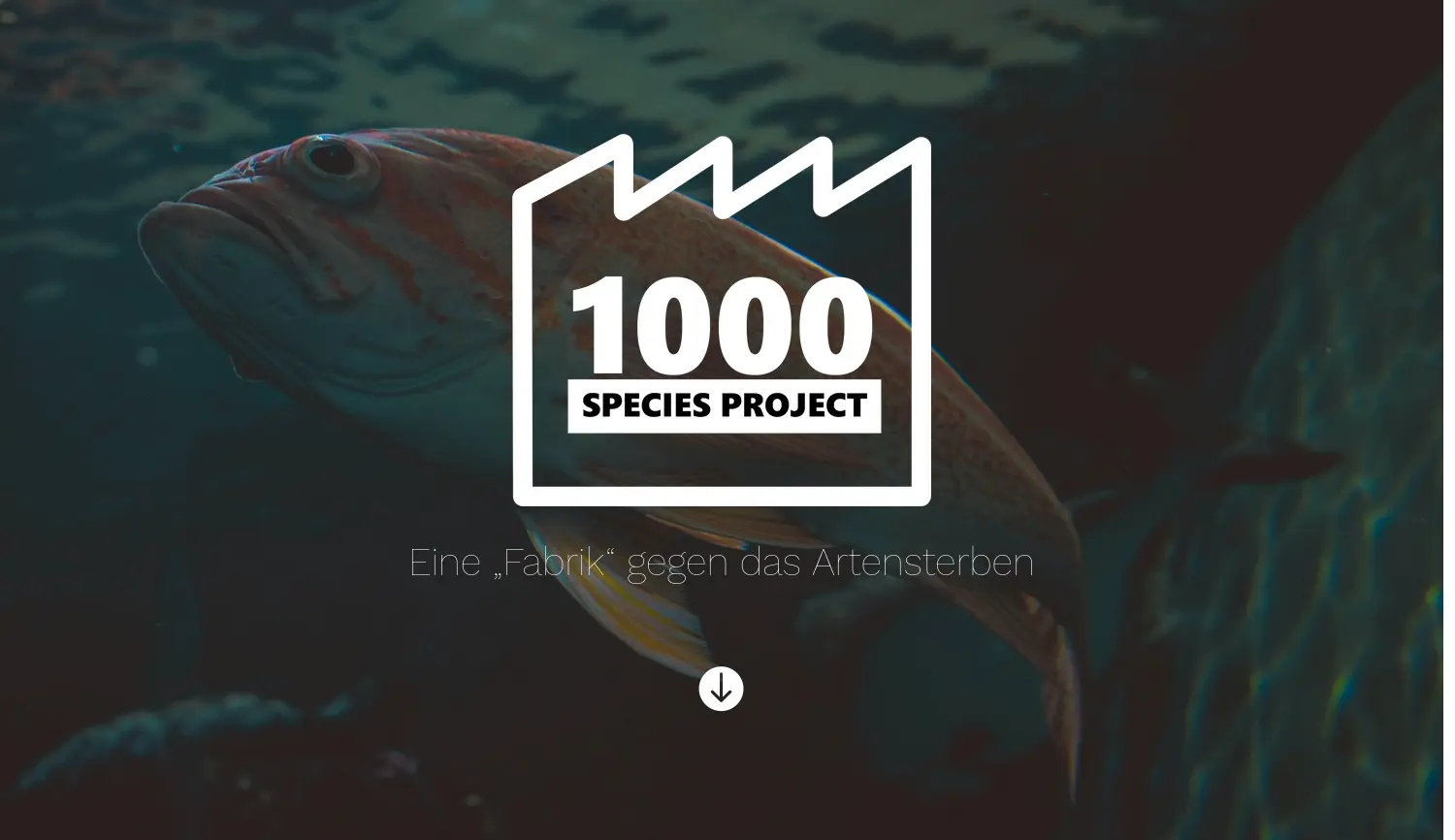 Website-Screenshot von 1000 Arten