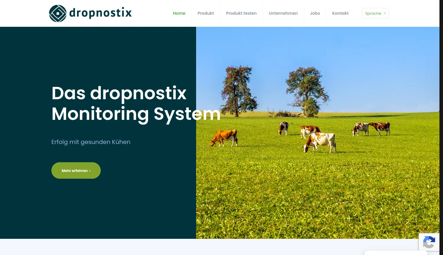 Website-Screenshot von dropnostix