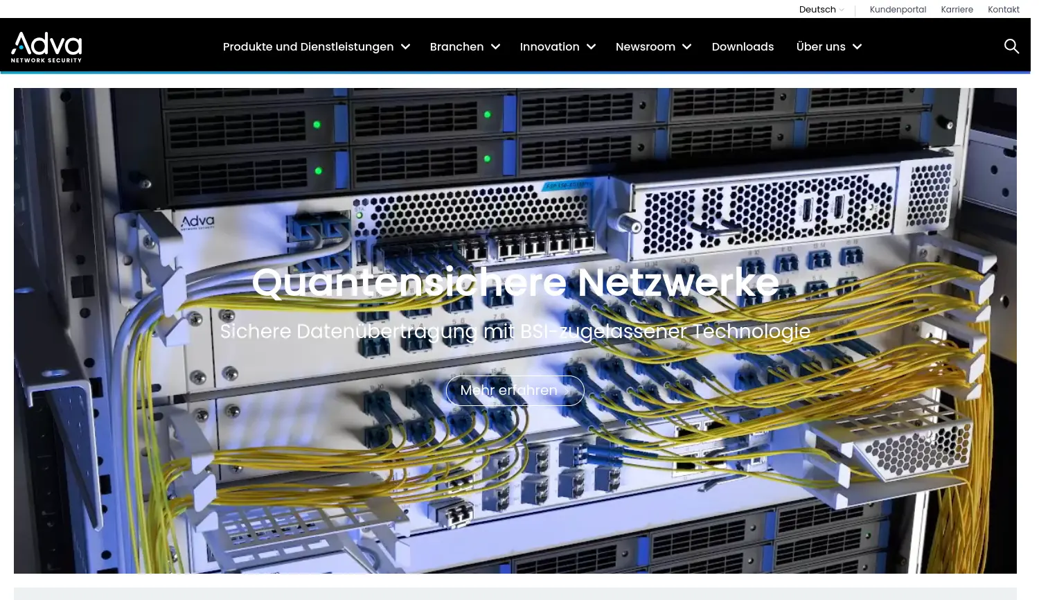 Website-Screenshot von Adva Network Security