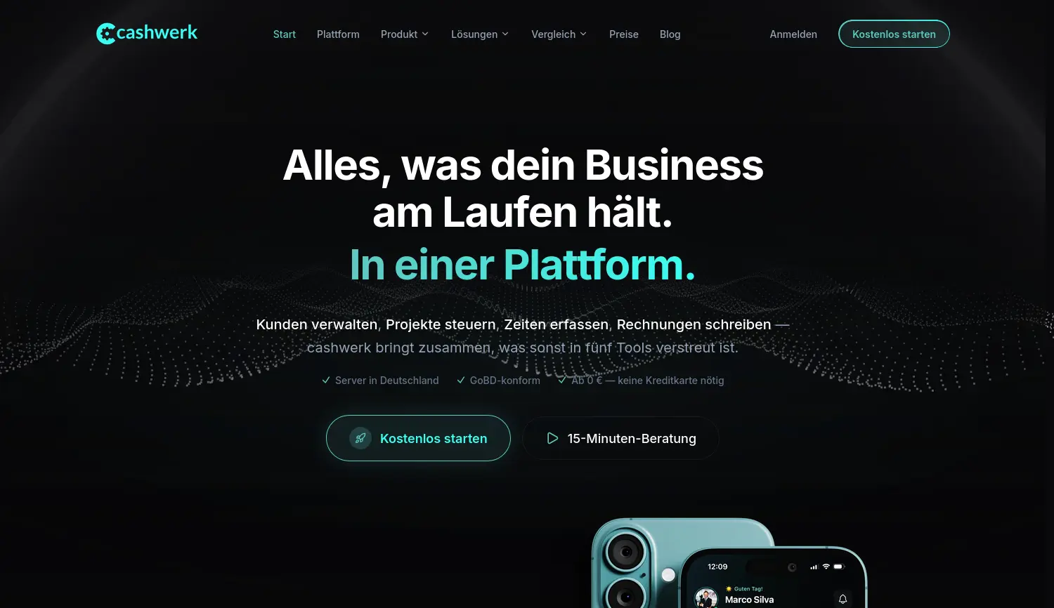 Website-Screenshot von cashwerk