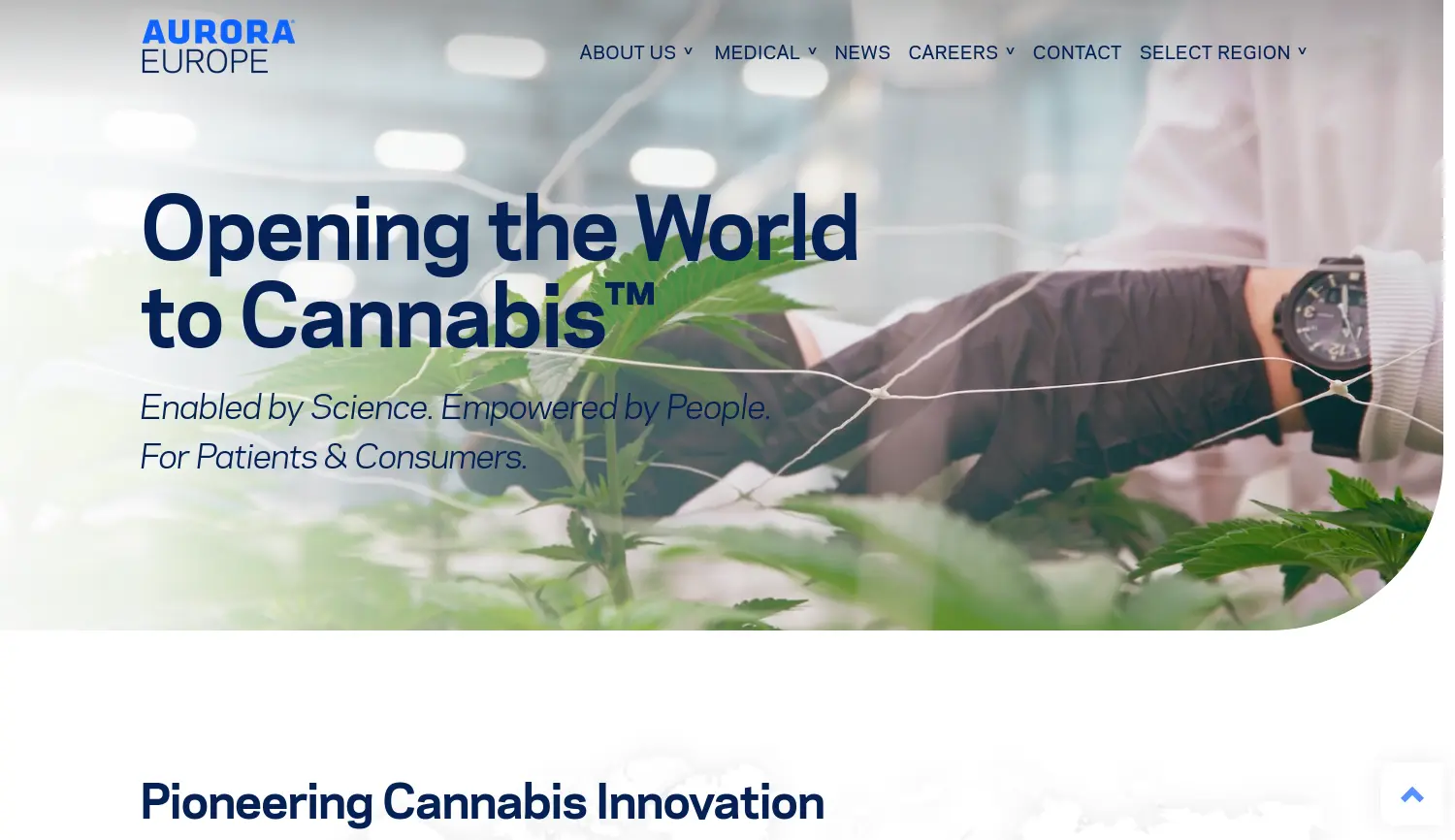 Website-Screenshot von Aurora Europe
