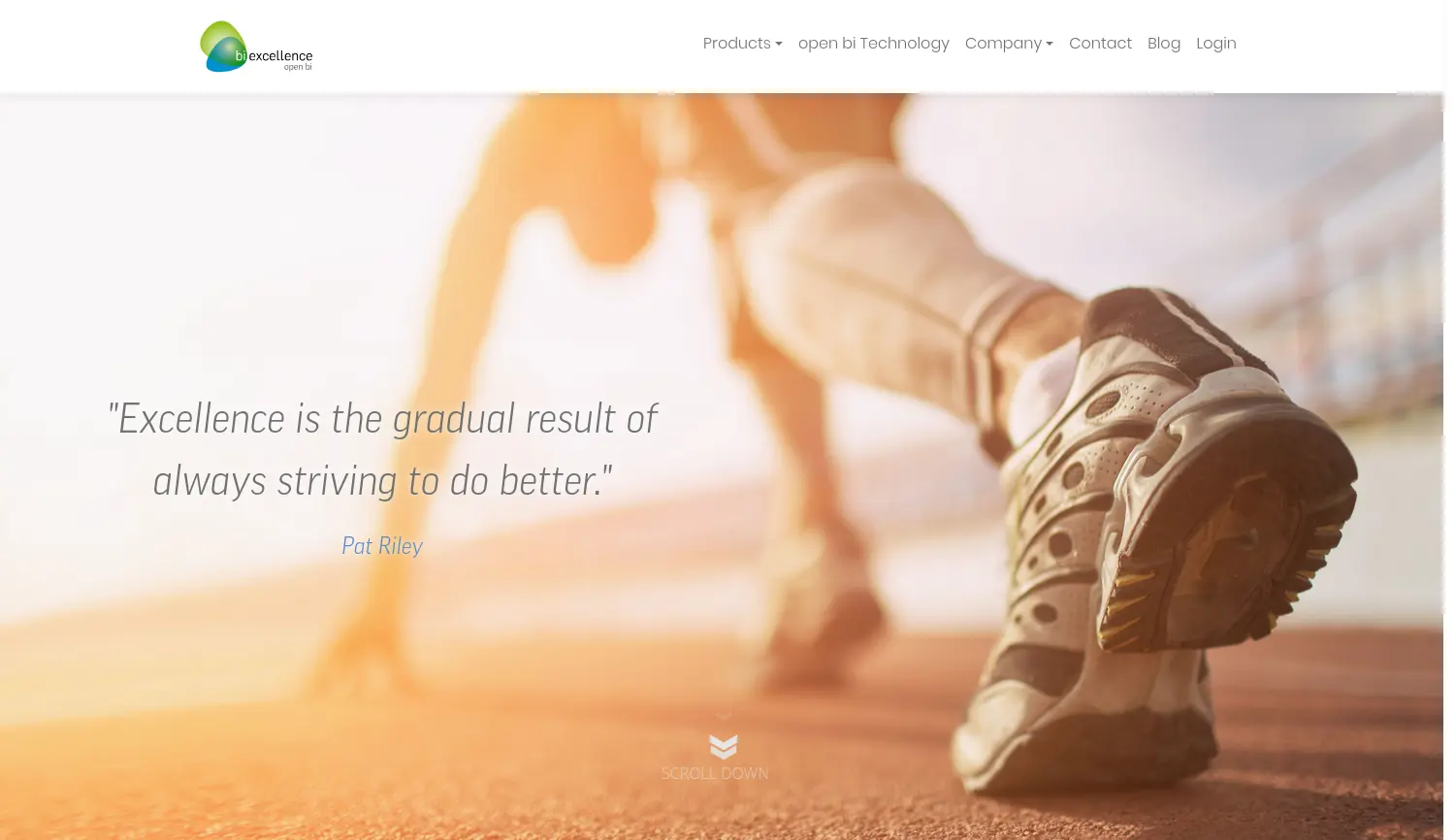 Website-Screenshot von BI Excellence