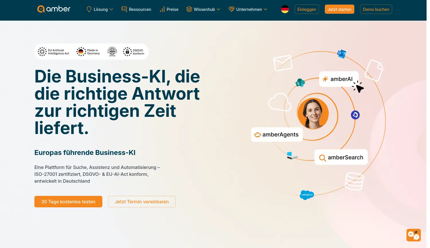 Website-Screenshot von amberSearch