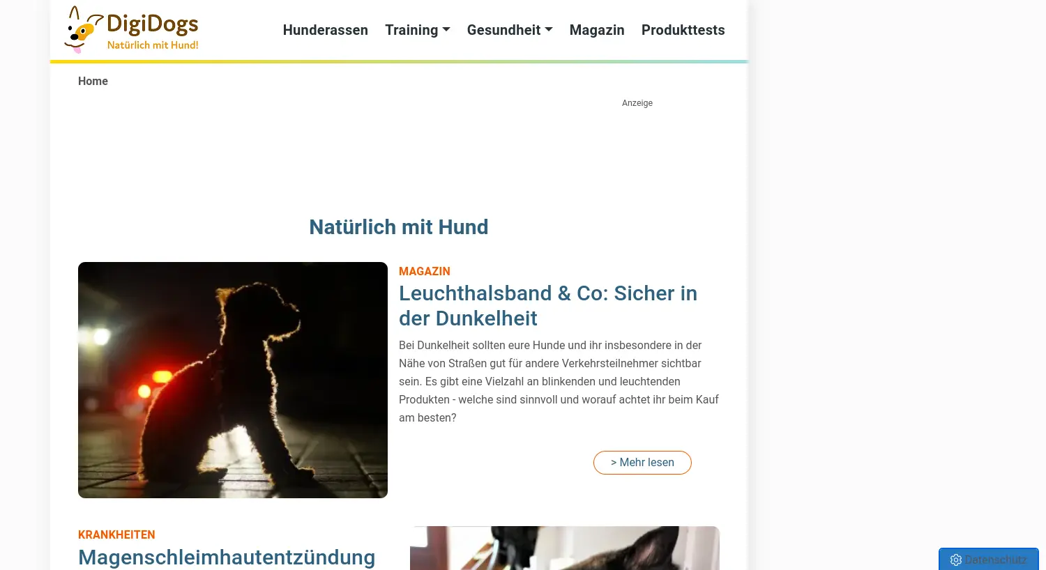 Website-Screenshot von DigiDogs