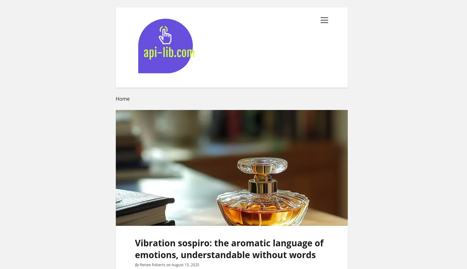 Website-Screenshot von API-Lib